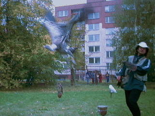 5x Sup krahujov